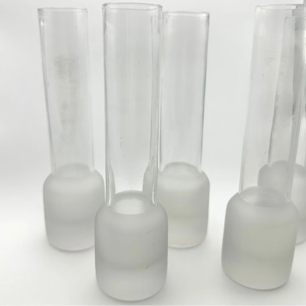 Small Clear Glass Tube Plant Propagation Vase Chunky Base Frosted Glass Bud Vase